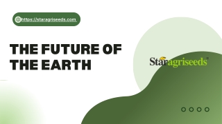 Buy Top Quality Star 444 Moong Seed in India