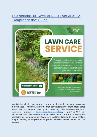 The Benefits of Lawn Aeration Services: A Comprehensive Guide
