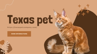 The Ultimate Guide to Choosing Dog-Safe Peanut Butter