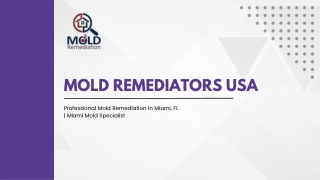Professional Mold Remediation in Miami, FL  Miami Mold Specialist