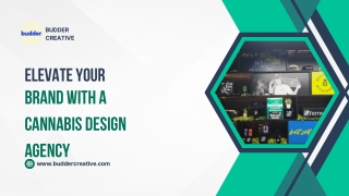 Elevate Your Brand with a Cannabis Design Agency