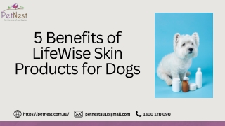 5 Benefits of LifeWise Skin Products for Dogs