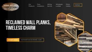 Reclaimed Wall Planks, Timeless Charm
