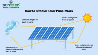 Bifacial Half-Cut Solar Panel