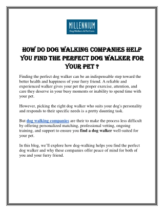 How Do Dog Walking Companies Help You Find the Perfect Dog Walker for Your Pet ?