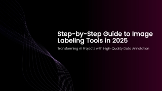 Step-by-Step Guide to Image Labeling Tools in 2025