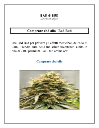 Comprare cbd olio | Bad Bud