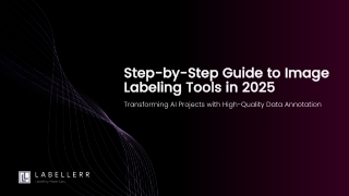 Step-by-Step Guide to Image Labeling Tools in 2025