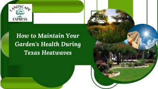How to Maintain Your Garden's Health During Texas Heatwaves