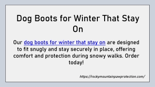 Dog Boots for Winter That Stay On