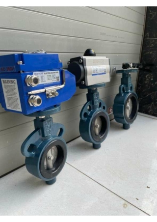 Van bướm Hàn Quốc - vanbidien