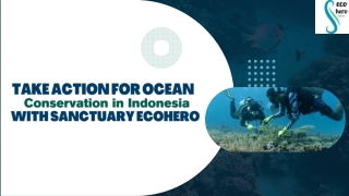 Take Action for Ocean Conservation in Indonesia with Sanctuary EcoHero!