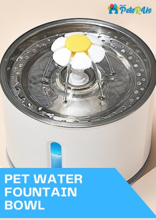 Pet Water Fountain Bowl – Hydrate Your Pets with Ease