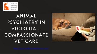 Animal Psychiatry in Victoria - Compassionate Vet Care