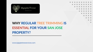 Why Regular Tree Trimming is Essential for Your San Jose Property?