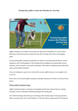 Turning Dog Agility Lessons into Playtime for Your Dog