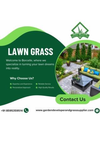 High-Quality Lawn Grass for Sale | Ideal for Green and Beautiful Lawns
