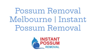Possum Removal Melbourne | Instant Possum Removal