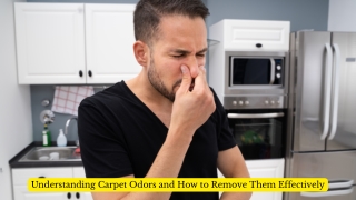Understanding Carpet Odors and How to Remove Them Effectively