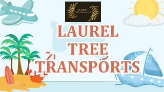 Bahamas taxi service