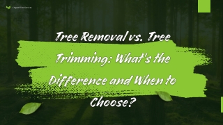 Tree Removal vs. Tree Trimming What's the Difference and When to Choose