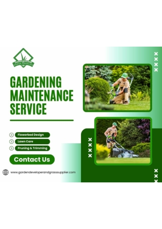 Expert Garden Maintenance Services for Lush Green Spaces