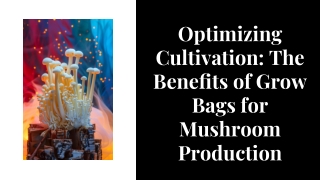 Best Grow Bags for Mushrooms: Ideal for Home Cultivation and Mushroom Farming