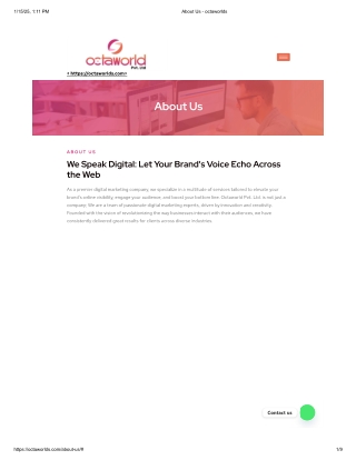 Octaworlds | Elevate Your Digital Impact