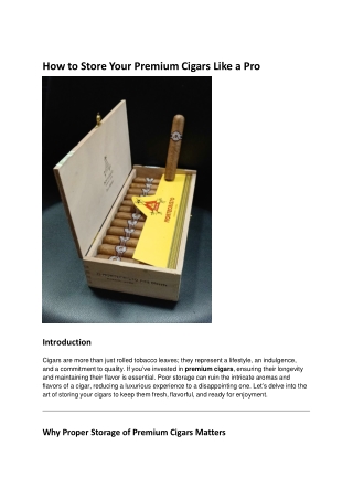 How to Store Your Premium Cigars Like a Pro