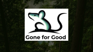 How to Get Raccoon Out of Attic Safe and Effective Methods