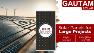 Solar Panel Modules Manufacturing Company