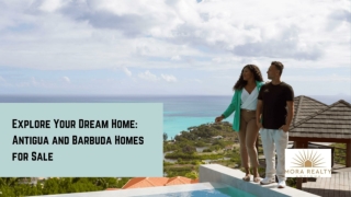 Explore Your Dream Home_ Antigua and Barbuda Homes for Sale