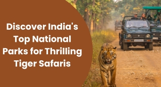 Discover India's Top National Parks for Thrilling Tiger Safaris
