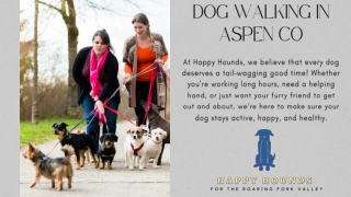 Dog Walking in Aspen CO
