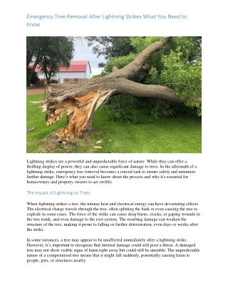 Emergency Tree Removal After Lightning Strikes What You Need to Know