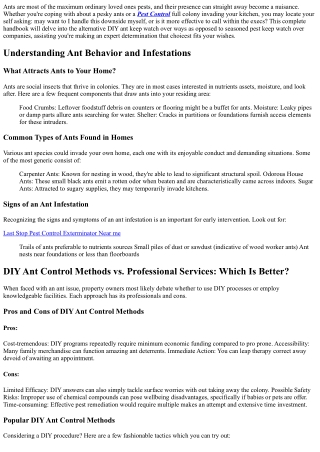 DIY Ant Control Methods vs. Professional Services: Which Is Better?