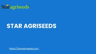 Buy Online Star 444 Moong Seeds for Farming in India