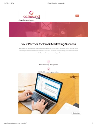 Boost Your Business with OctaWorlds' Email Marketing