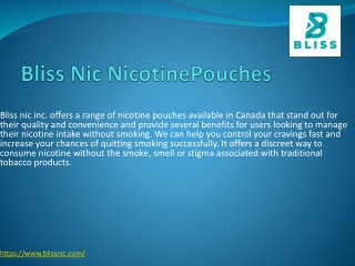Bliss Nic Nicotine Pouches