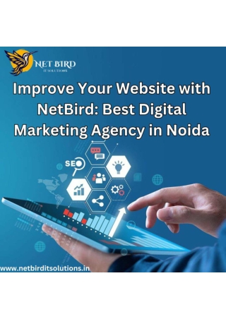 Improve Your Website with NetBird: Best Digital Marketing Agency in Noida