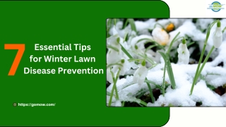 7 Essential Tips for Winter Lawn Disease Prevention