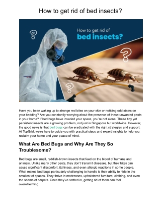 How to Get Rid of Bed Insects?