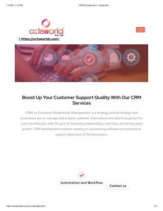 Custom CRM Development Services - OctaWorlds