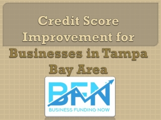 Credit Score Improvement for Businesses in Tampa Bay Area