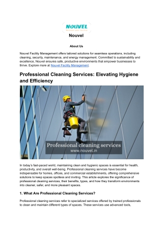 Professional Cleaning Services (1)