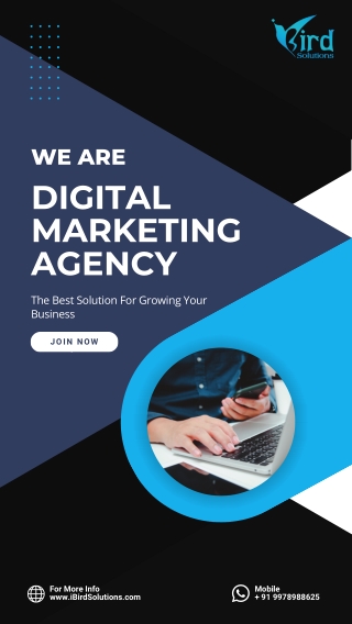 Digital Marketing Agency in Ahmedabad | iBird Solutions