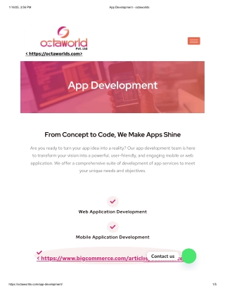 Custom App Development Services | OctaWorlds Solutions