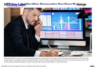 Mt5 grey label provider