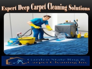 Expert Deep Carpet Cleaning Solutions