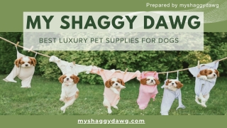 Best luxury pet supplies for dogs